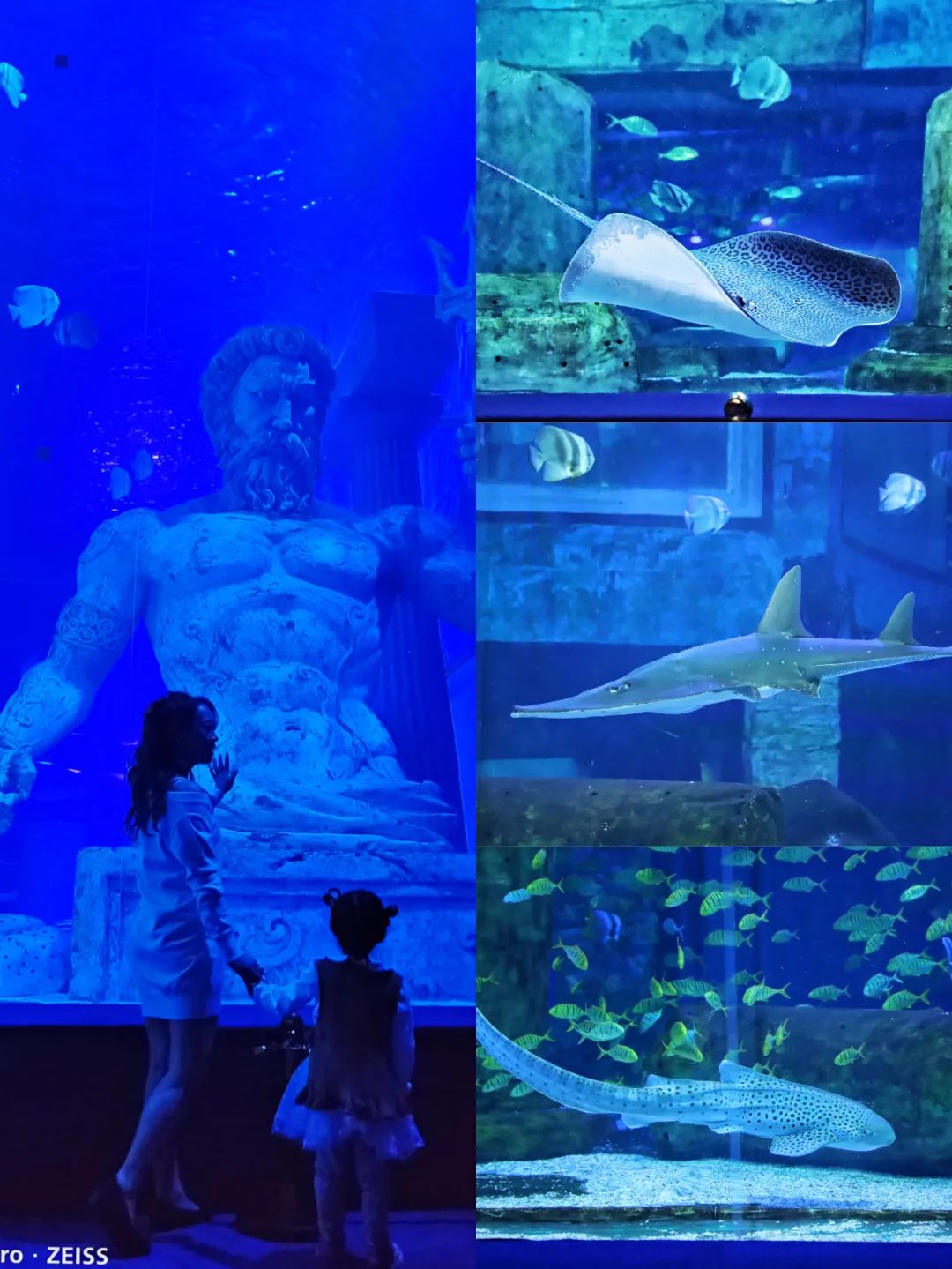 开启非凡住宿万豪旅享家,万豪旅享家万物皆可串