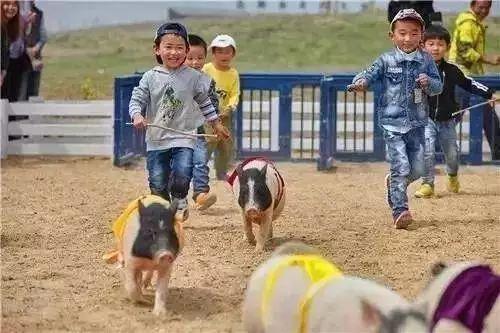 苏州五一期间哪些景点开放,苏州国庆节亲子游免费推荐地