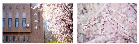 高考考入大连海事大学,大连海事大学高考2020