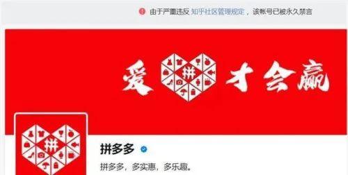 知乎帮拼多多“砍了一刀”：志在真诚，恪守不违