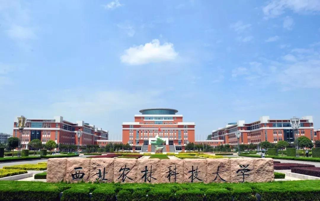 西安十大最差的大学,西安最差的十所大学