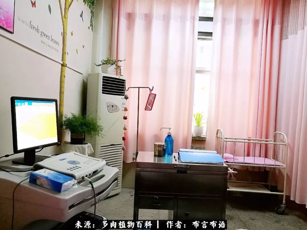 从多肉上感悟人生,多肉的真实生活感悟