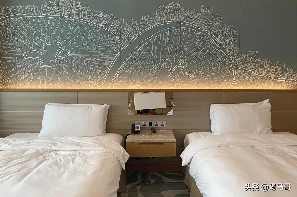 三亚避雷防坑攻略,三亚亲子游攻略亚特兰蒂斯