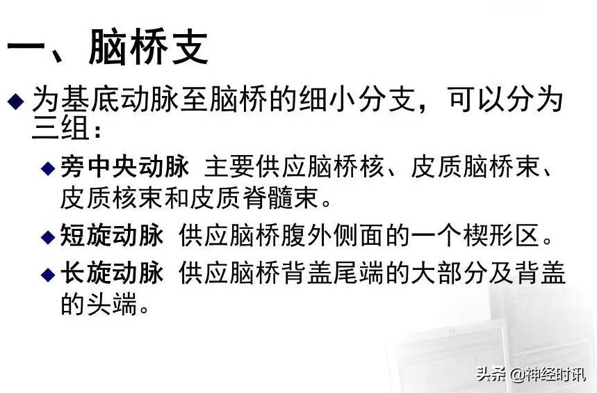 脑动脉解剖学讲解,基底节区脑血管解剖