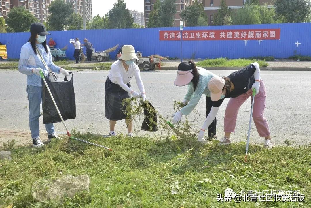 交道大集最新消息,交道大集新地址