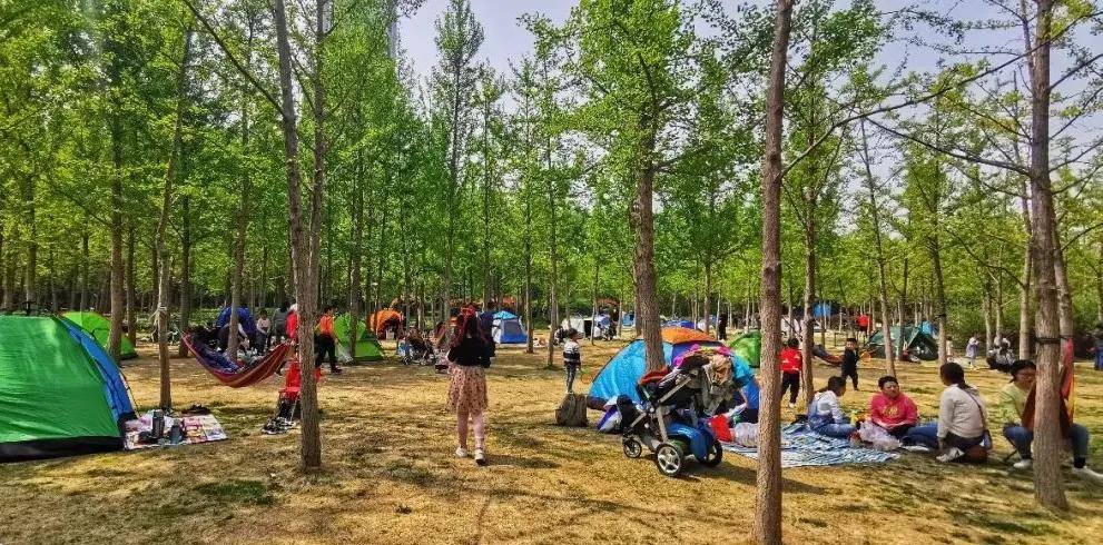 济南亲子遛娃景点排行榜夏季,济南槐荫区遛娃好去处很近的