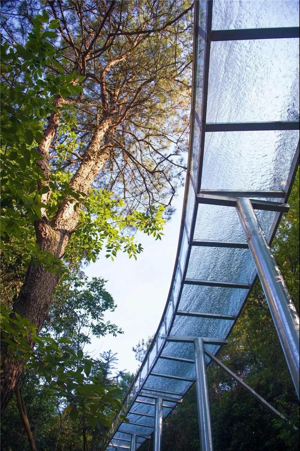 20天的湖南浪漫之旅,长沙一日游攻略情人节