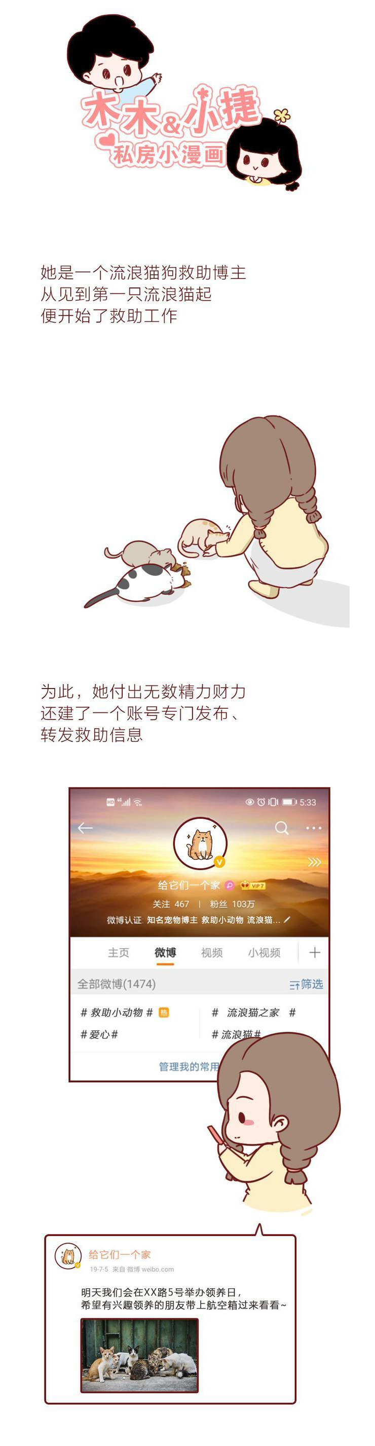 流浪猫道德绑架,救助宠物被道德绑架