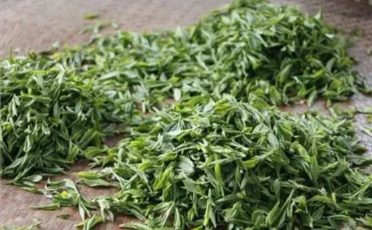 山东出名的茶叶是什么茶叶,日照岚山最好的茶叶