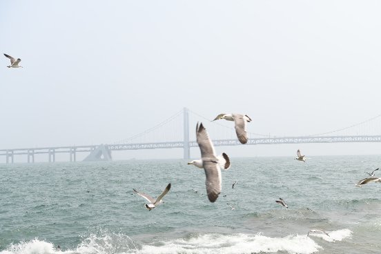 神州租车无接触取车,神州租车零接触