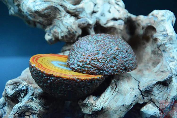 见证了地球变化的石头,岩石如何记录地球演化历史