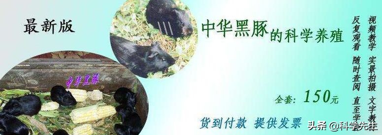 利润很吓人的10个冷门养殖项目,高盈利高风险的养殖有哪些