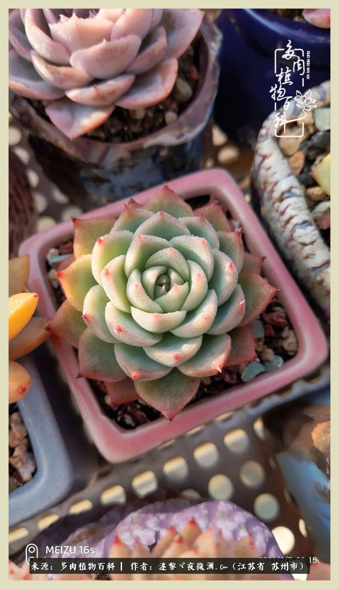 秋尽冬来岁月不居时节如流,岁月不居时节如流水