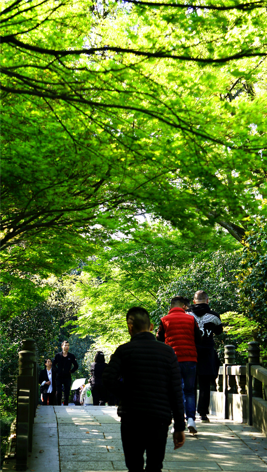 杭州西湖游玩攻略大全,杭州西湖最佳游玩攻略