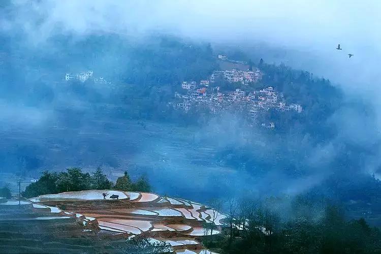 春分送你最美的祝福,春分是春暖花开的季节