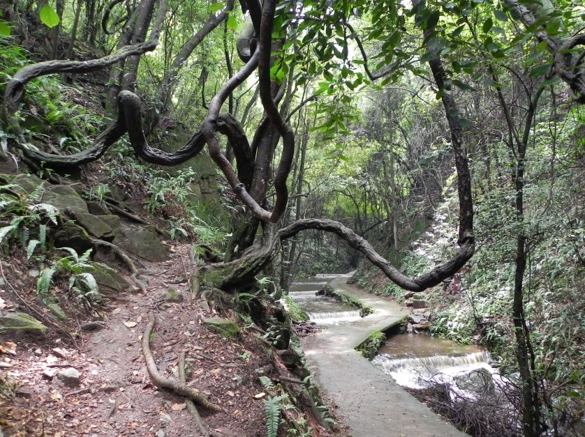 玉溪避暑住宿哪里最好,玉溪周边避暑哪个县城最凉快