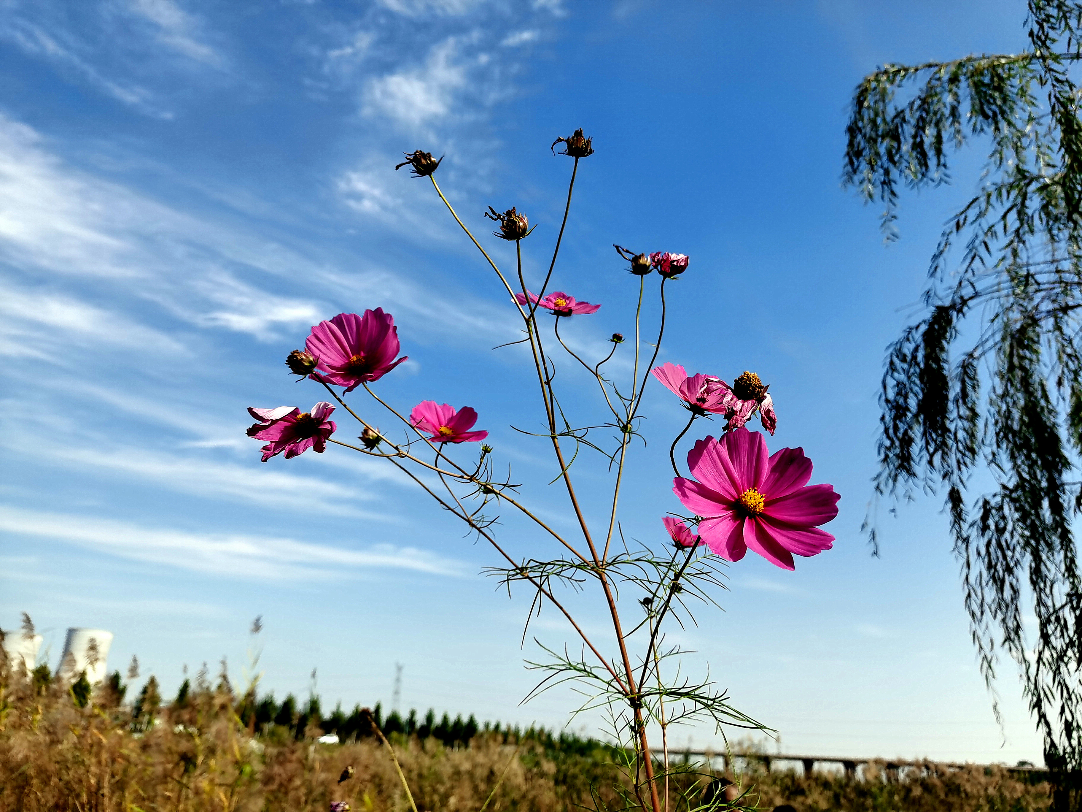 荆山旅游景点大全,荆山美景