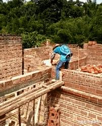 这只鹦鹉一直以为他是一只猴，所以每天都在重复做这个动作