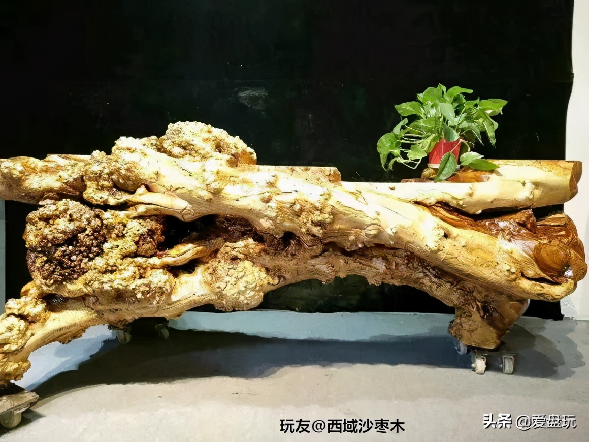 烂木头怎么样处理,烂木头有什么好方法处理