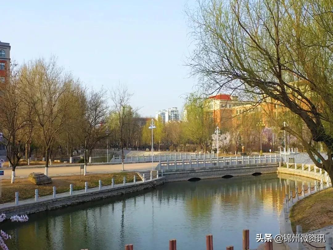 锦州渤海大学校庆献礼！纸短情长，写给我深爱的渤大