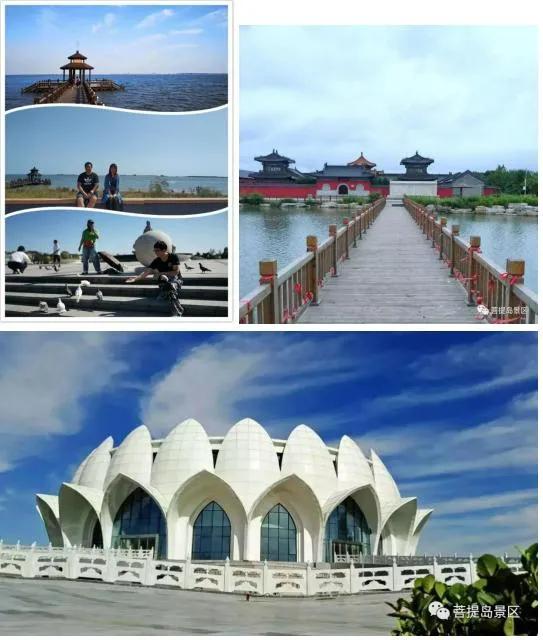 惠民旅游年卡包含哪些景点,在哪申购唐山市文化旅游惠民卡