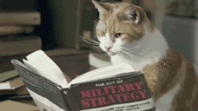 蜂花无硅油洗发水质量怎么样,国产无硅洗发水排名