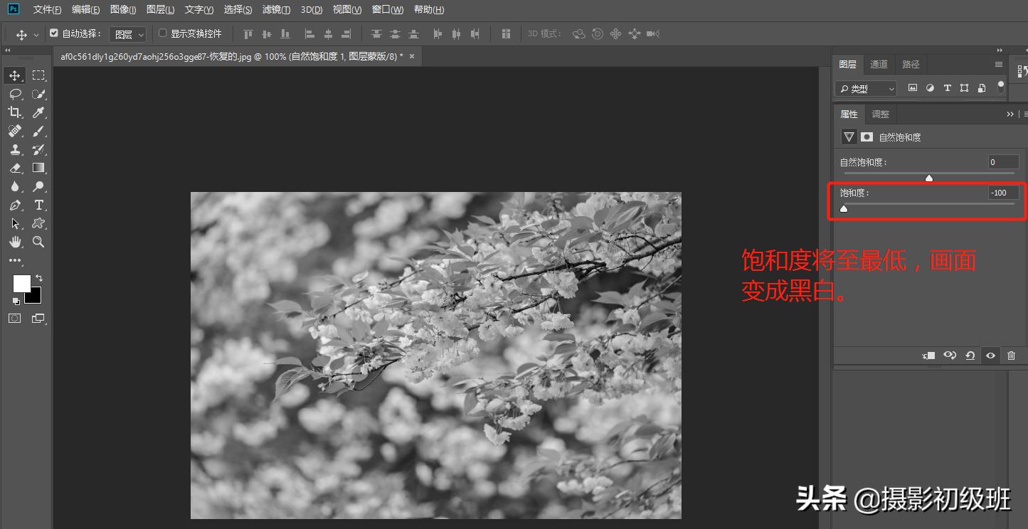 摄影饱和度怎么调,小白学摄影饱和度