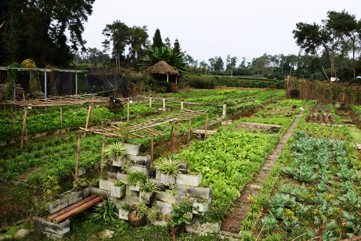 农业是个暴利行业,农业领域好吗