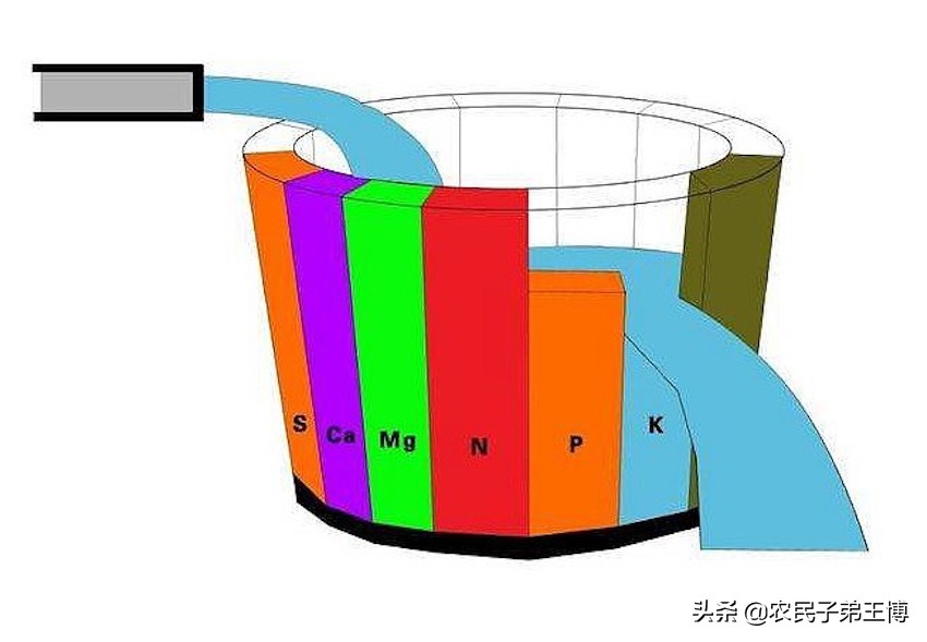 大姜种植施肥防病虫害技术,大姜高产的施肥配方是什么意思