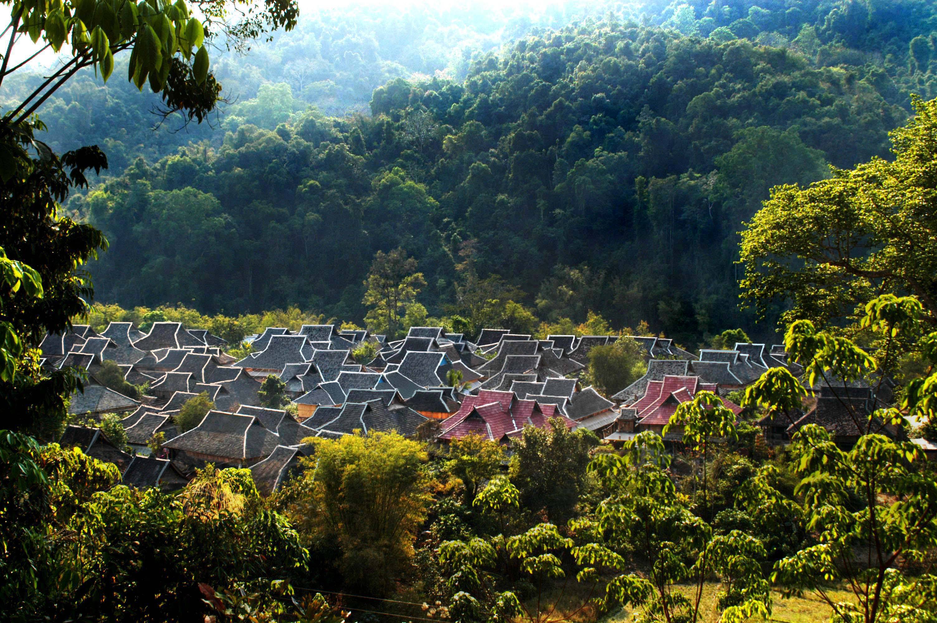西双版纳热带雨林就是原始森林吗,西双版纳离城区近的原始沟谷雨林