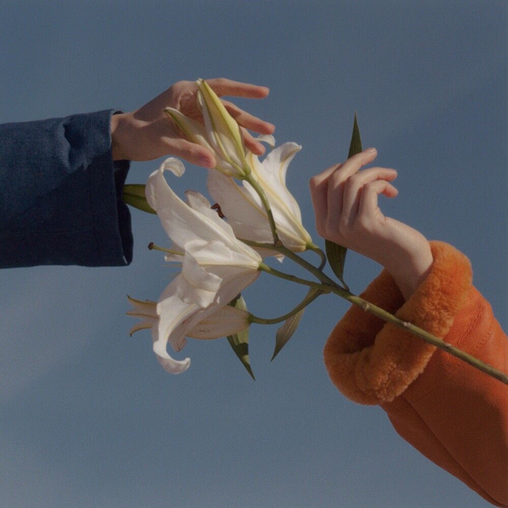 无上宠爱臣年txt全文免费阅读,无上宠爱臣年公开在哪一章