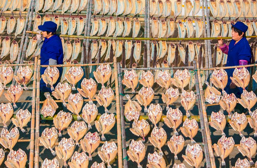 有了这座小县城，封海也封不住浙江人吃海鲜的嘴