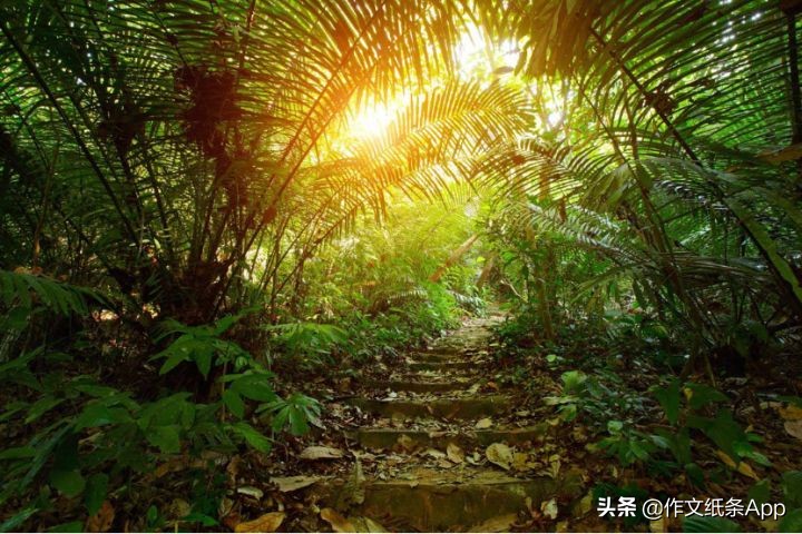 学霸摘抄本上的优美段落,学霸的日常摘抄大全