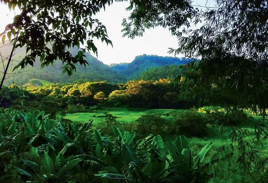 第100只猴子效应——台湾桃米生态村的“造人”计划