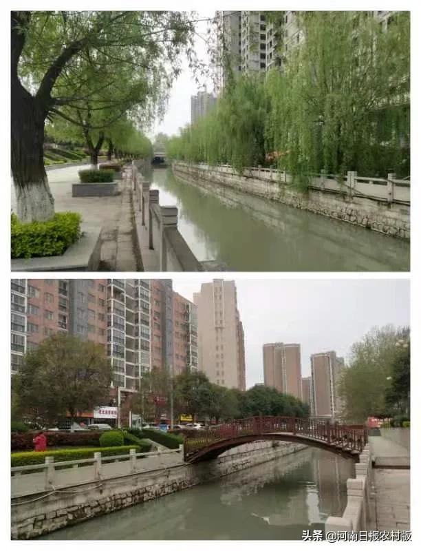 大沽河畔春意浓,清水河畔茉莉清香