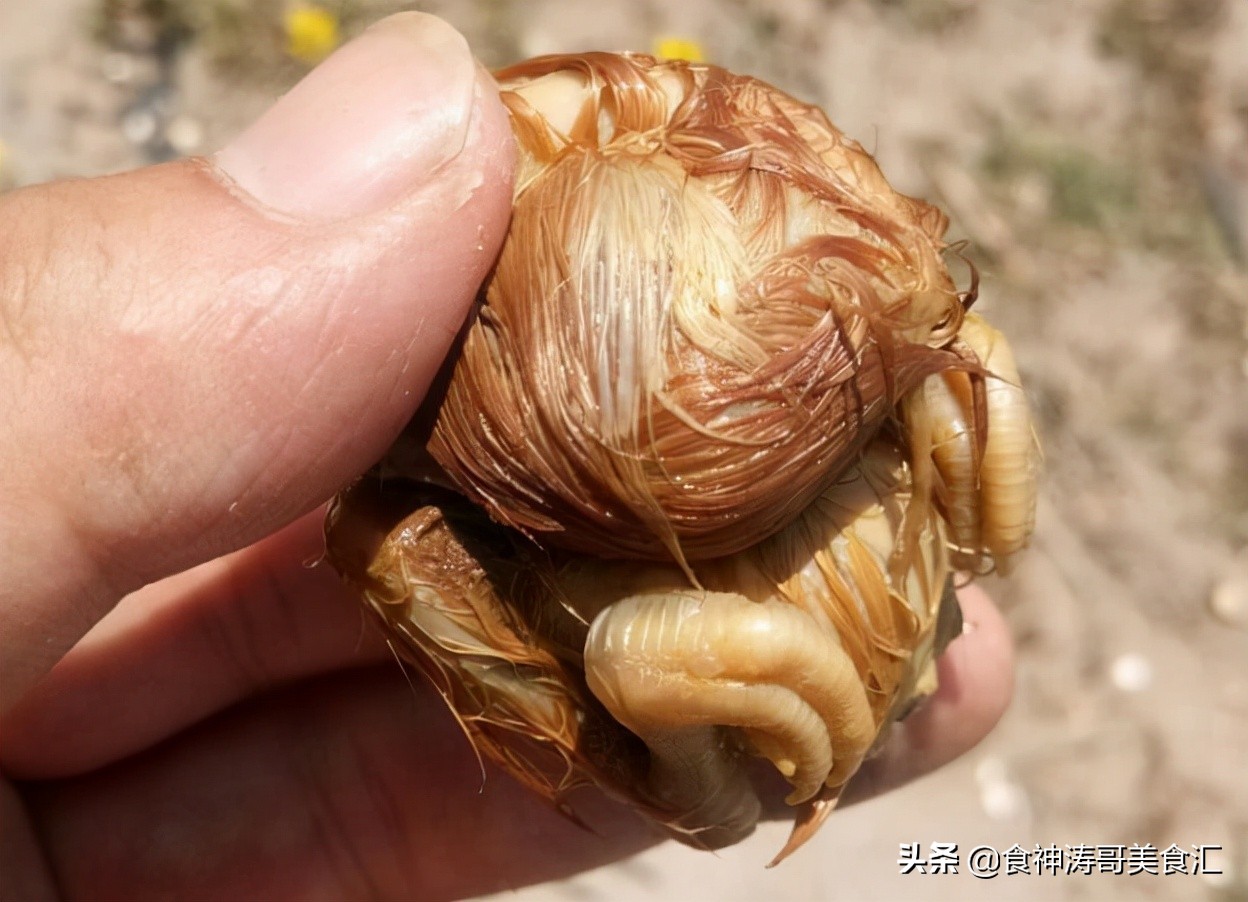 盘点被人类带回了东北特点美食,东北九大特点美食