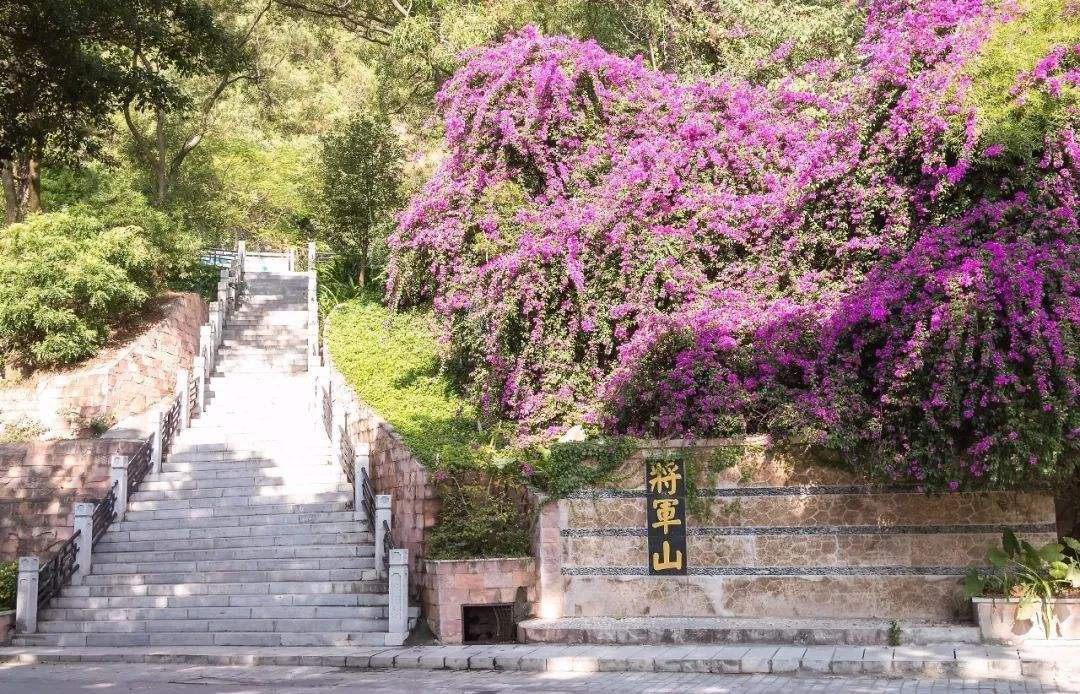 珠海周边游玩景点推荐,珠海免费自驾游必去12个景点