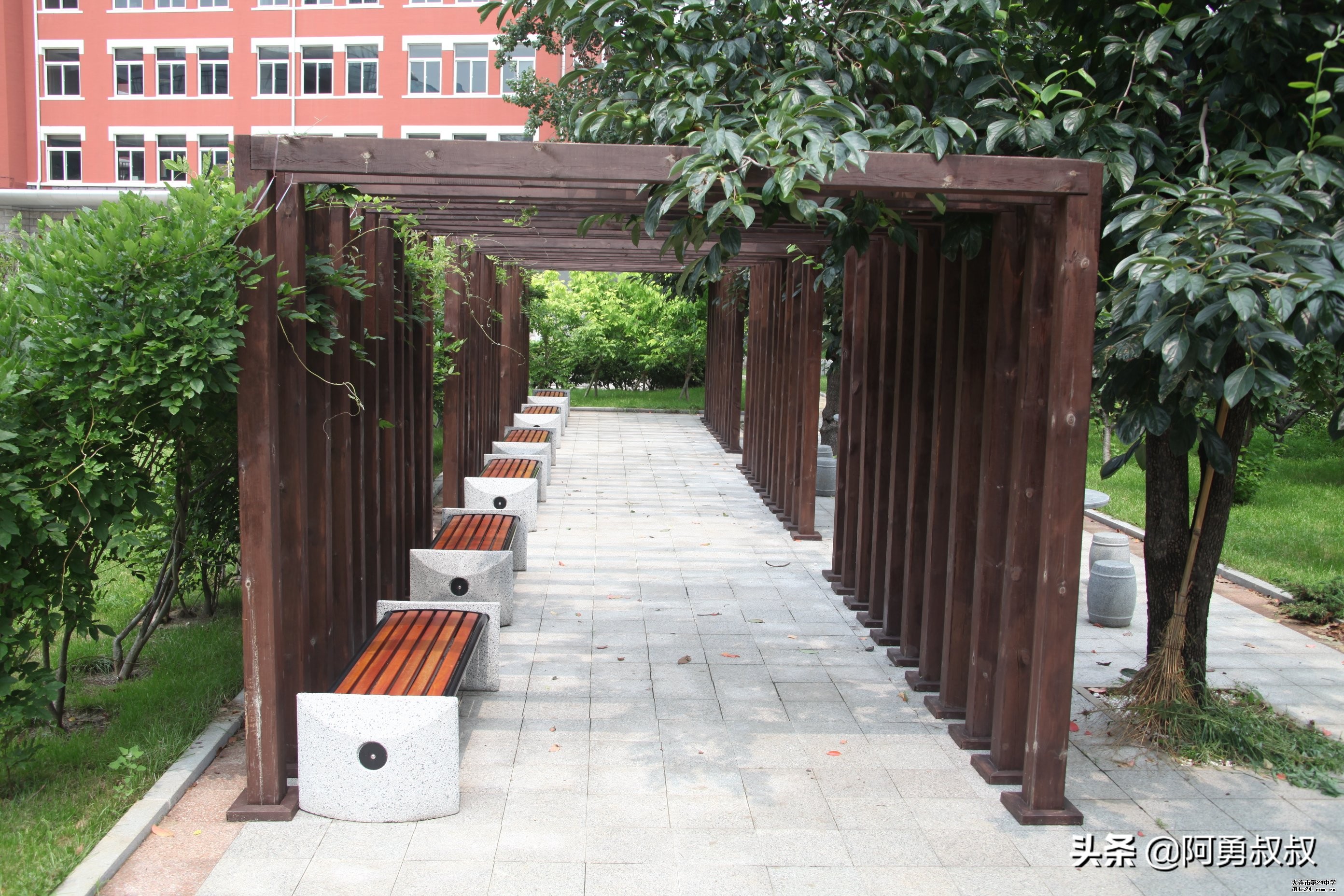 大连全国百强国际学校,大连第二十四中学全国排名