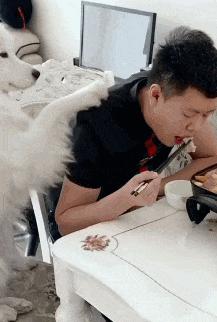 搞笑gif趣图姑娘有话好好说别动手,开心一刻gif搞笑动图