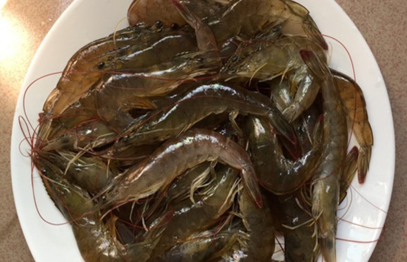 海虾用什么炒着好吃又简单,鲜海虾怎样烧好吃又好看