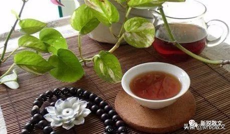 雅文学与俗文学的关系,雅俗文学的嬗变