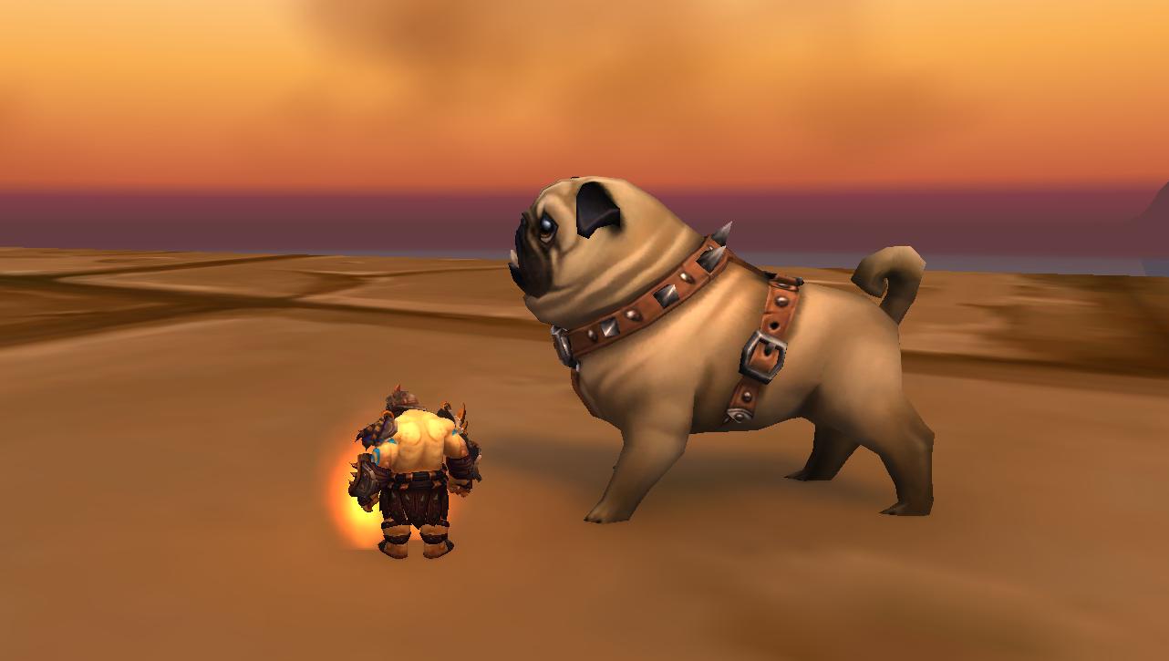 魔兽世界十大必备玩具,魔兽世界部分隐藏玩具攻略