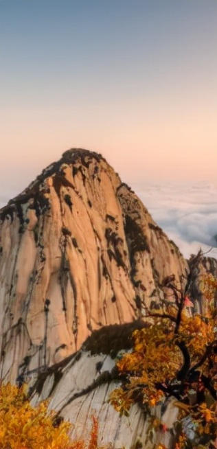 直播丨侠动北峰，一叶知秋