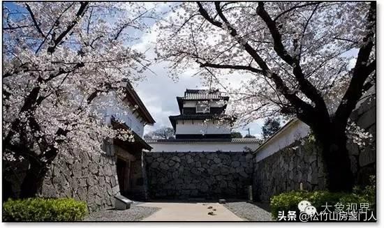 佳士得油滴建盏7800万,佳士得建盏7800