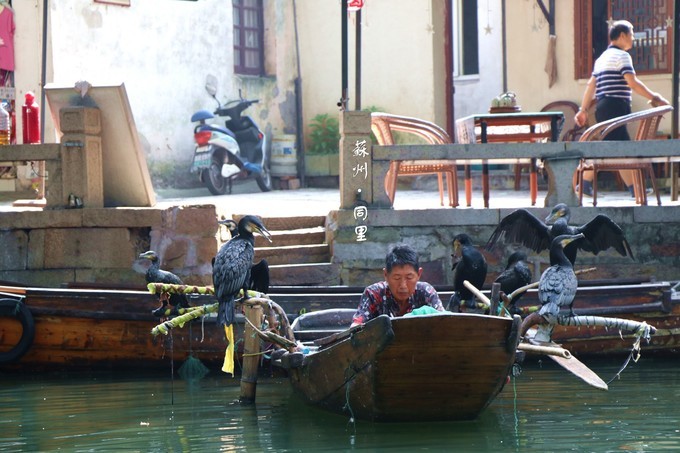 千年古镇苏州周庄一日游,苏州千年古镇同里