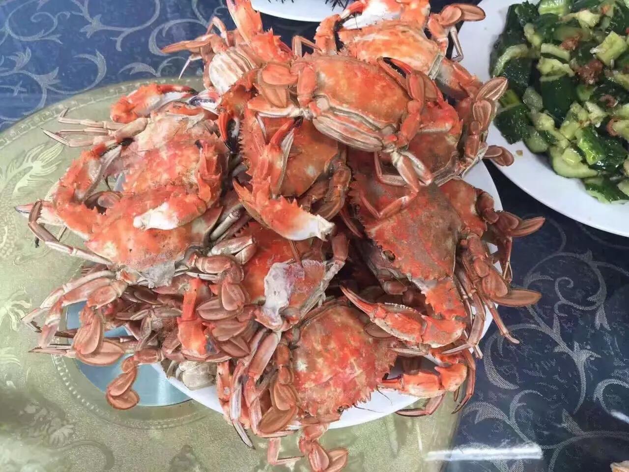 山东长岛自助游攻略,山东长岛游玩攻略视频