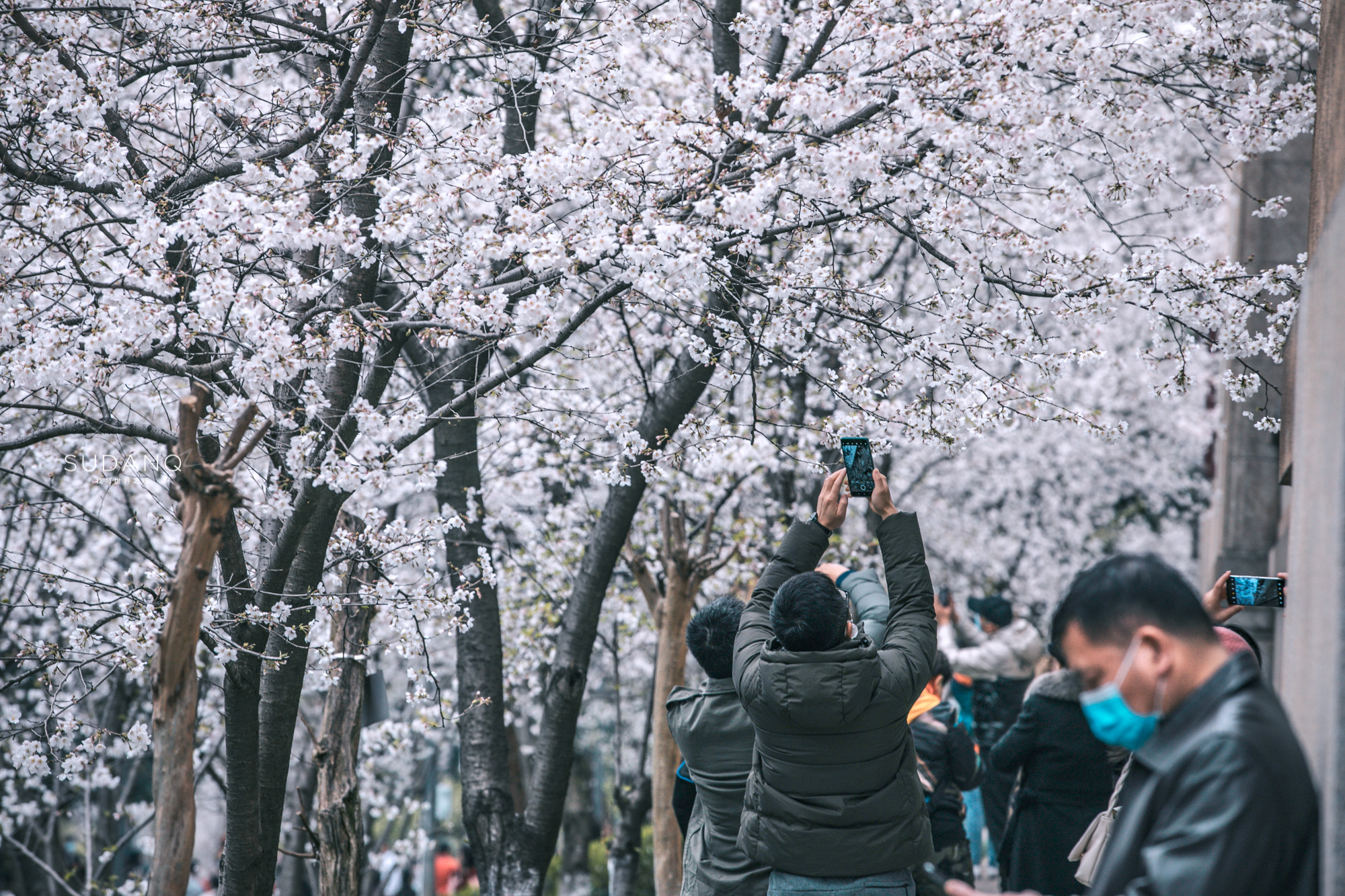 武汉会成为中国最大城市吗,湖北武汉是否是直辖市