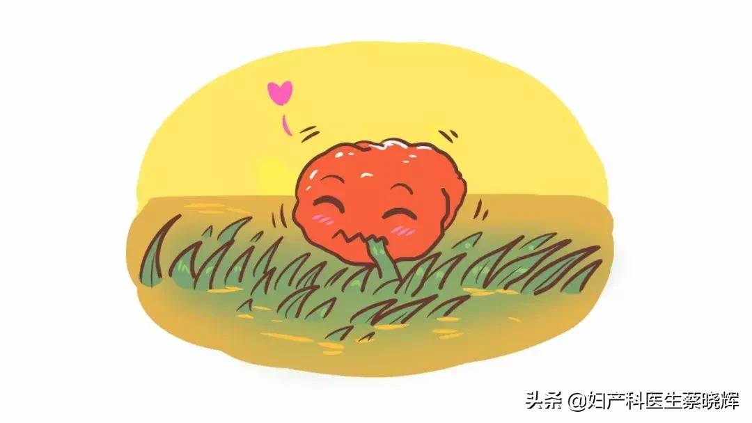 子宫里面有息肉和小麦粒的东西,子宫有一块息肉