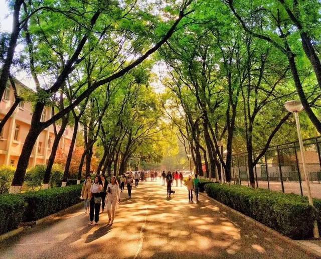 陕西的这3所大学——陕西师范大学、西北大学和第四军医大学如何