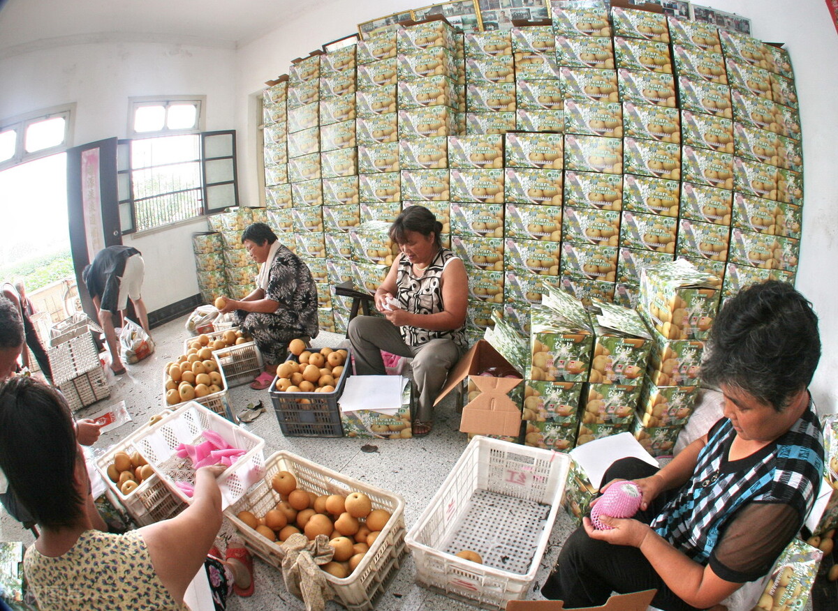 倒春寒对农产品期货的影响,天气炒期货对农产品的影响